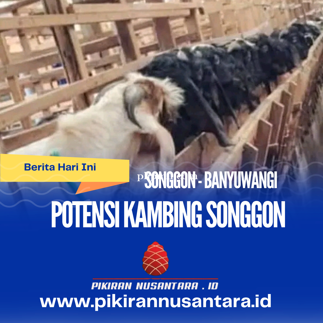 Biru_Putih_Fotosentris_Modern_Tahukah_Kamu_Hari_Nelayan_Instagram_Media_Pos_20240423_071816_0000.png
