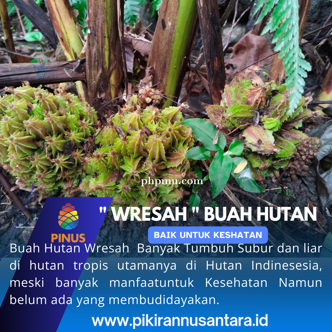 Blue_Modern_Breaking_News_Instagram_Post_20240510_084214_0000.png